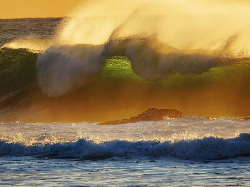 Canon RF 800mm F11 IS STM