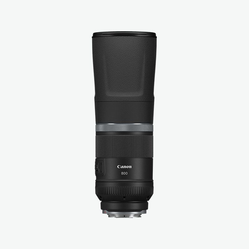 RF 800mm F11 IS STM