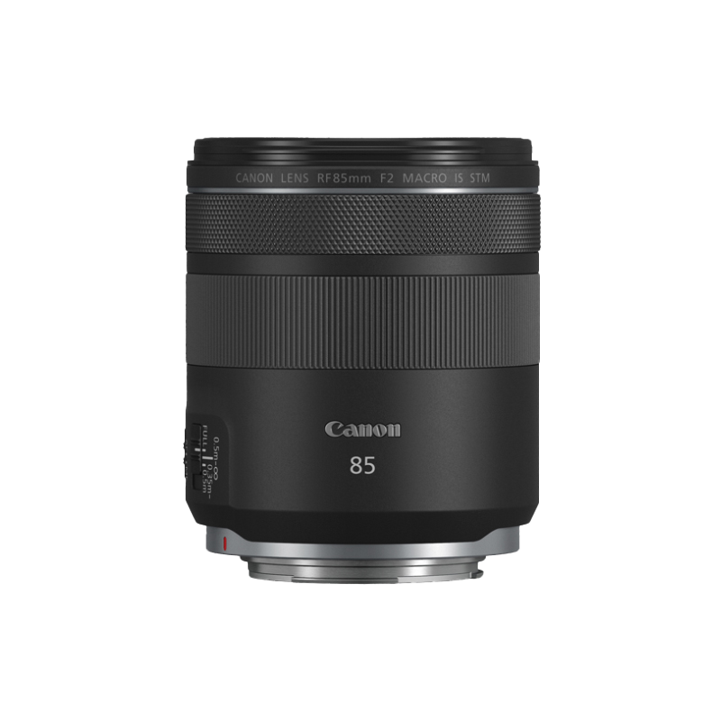 RF 85mm F2 MACRO IS STM 