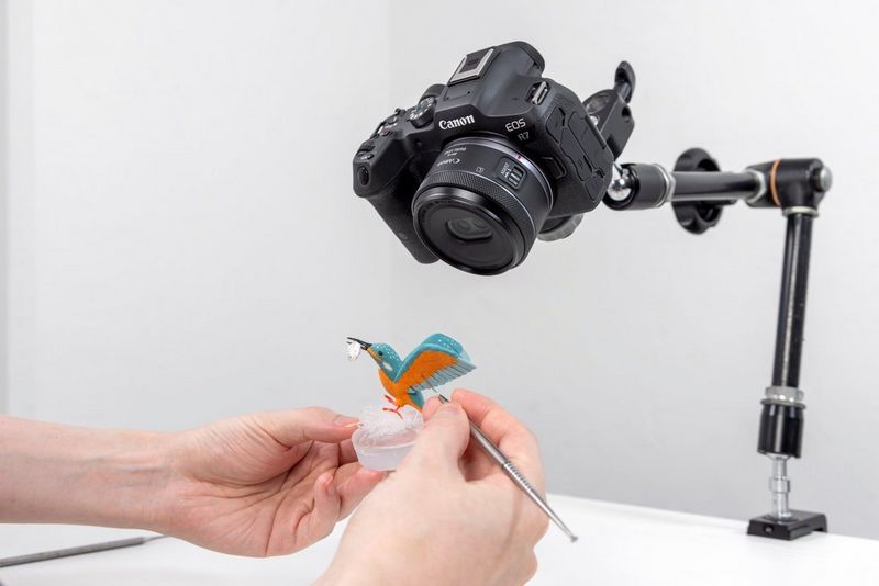 A Canon EOS R7 camera with a Canon RF-S 7.8MM F4 STM lens attached, mounted on an adjustable ‘magic arm’ , filming a person painting a small bird model.