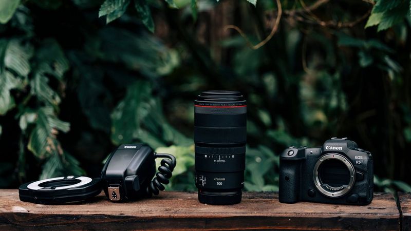 Probamos el mejor objetivo de Canon para hacer fotografía macro