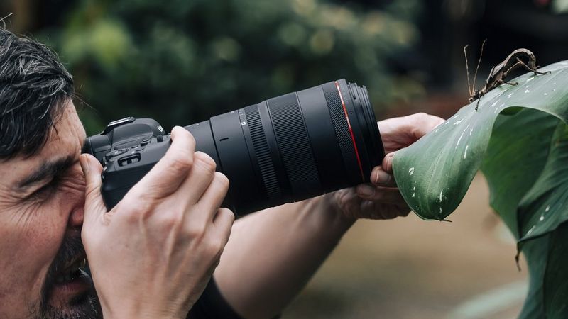 Person holding a Canon camera with a macro lens taking a picture of an insect on a leaf.