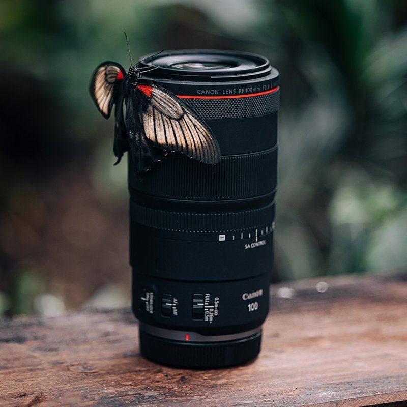 Lens RF100mm F2.8 L MACRO IS USM standing on the wooden table with a butterfly sitting on it.