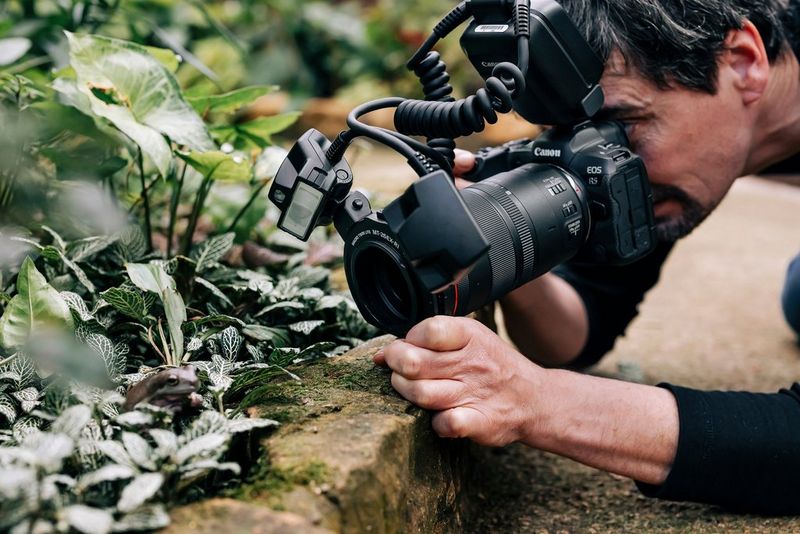 Фотограф со вспышкой Canon Macro Twin Lite MT-26EX-RT наклонился, чтобы сфотографировать лягушку в зеленой листве.