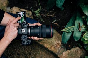 Fotograf aus der Vogelperspektive, der eine Canon EOS R5 mit einem Canon RF 100mm F2.8L MACRO IS USM Objektiv verwendet, um eine Grille auf einem Blatt zu filmen.