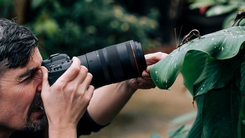 Canon RF 100mm F2.8L Macro IS USM review - Amateur Photographer