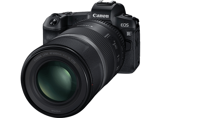 Canon R50 Camera and Canon RF 600mm F11 IS STM Lens