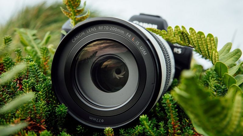 Teleobjetivo Canon RF70-200mm F4 L IS USM, lente de cámara sin espejo de  alta definición con Zoom largo y apertura constante, para Canon EOS R5 R3 -  AliExpress