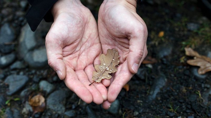 Canon RF 70-200mm F4L IS USM and EOS R5 sample image of a person’s hand holding a leaf with water doplets. Taken by Lucia Griggi