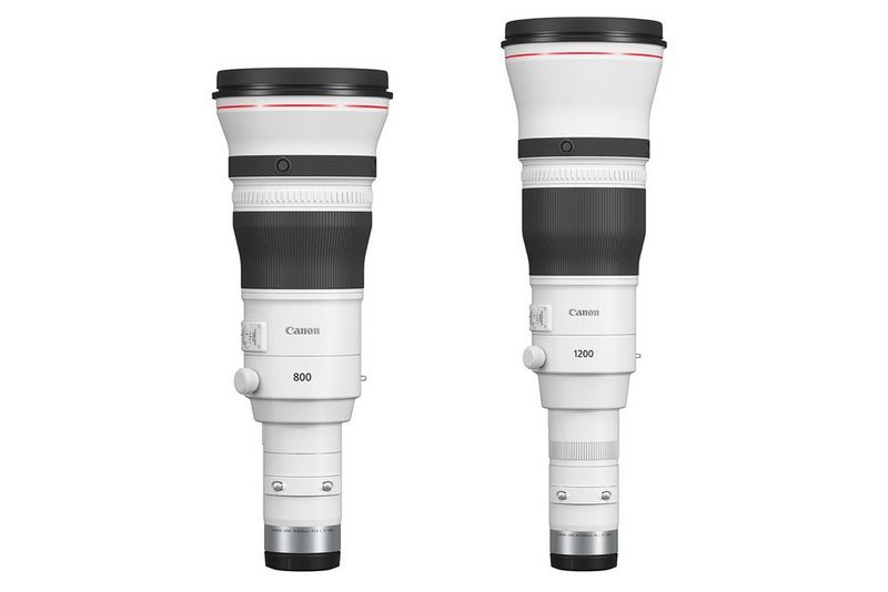 Canon 1200 y 800 mm: estrenamos los objetivos más extremos (y caros) del  mercado