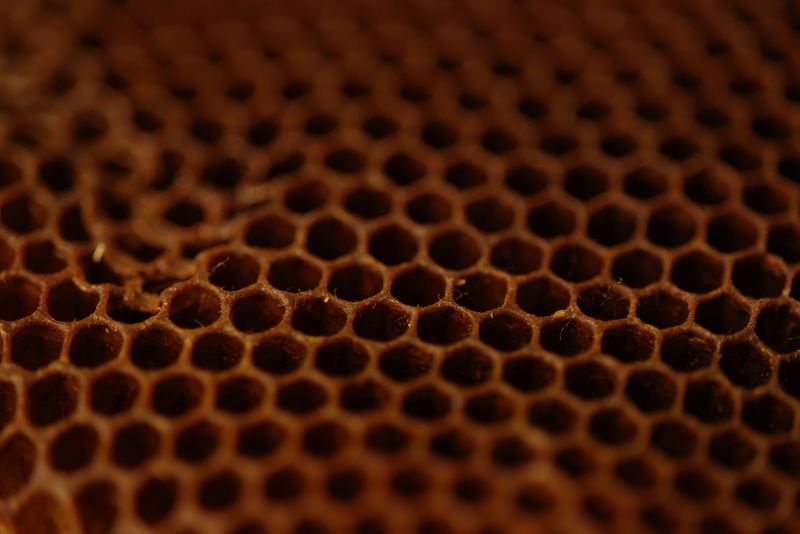 rf85mm f2 macro is stm sample ilvynjiokiktjien 39 58e848db8b9947ee90706401b7d2c6f6?$block grid 16by9 md jpg$