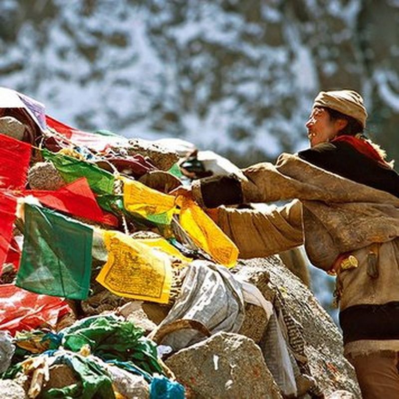 MATTHIEU RICARD