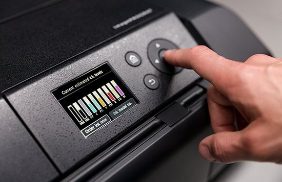 The ink levels showing on a setting bar of a Canon printer. 