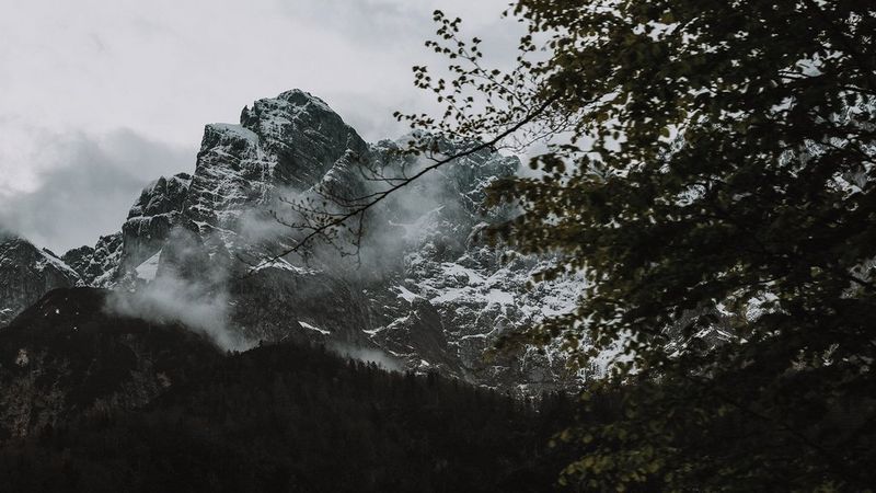 Canon EOS 6D Mark II body купить