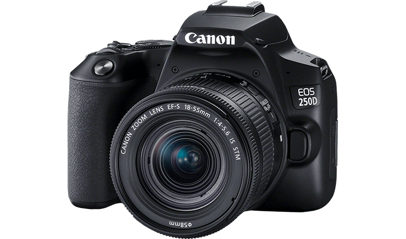 Best Dslr Cameras For 2021 From Beginner To Pro Digital Slrs Gowarranty Tech 3464