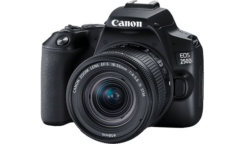كاميرا EOS 250D مزودة بعدسة تكبير/تصغير قياسية