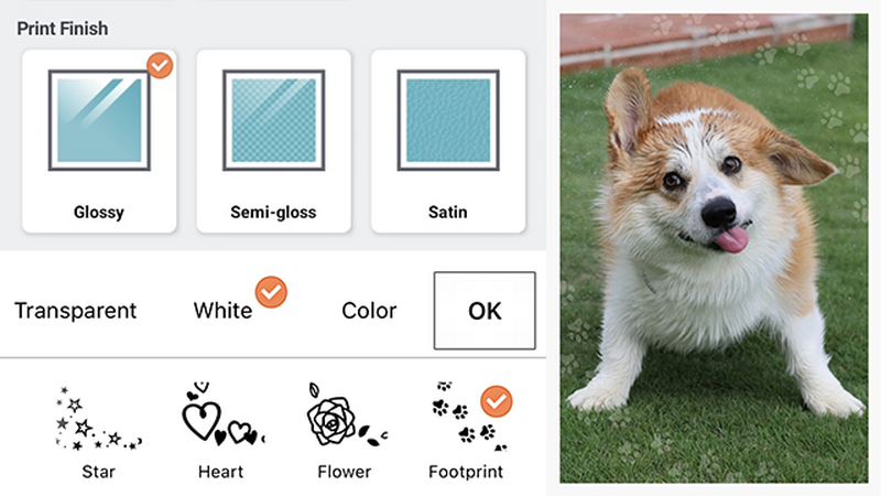 Two screengrabs from the app. One showing Print Finishes and overcoats options. The other showing a picture of a dog with paw prints overcoat applied.