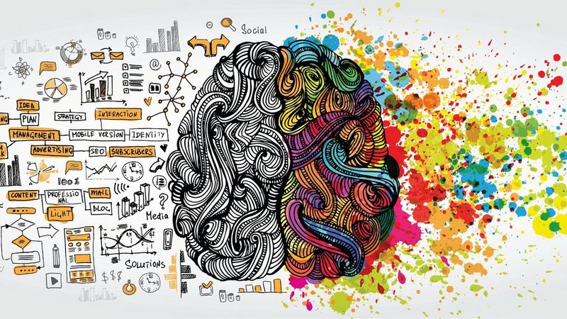 Illustration of a brain, showing the challenges of the business world on the left in simple line drawings of black, grey and orange, and bright, multi-coloured paint splashes on the right.