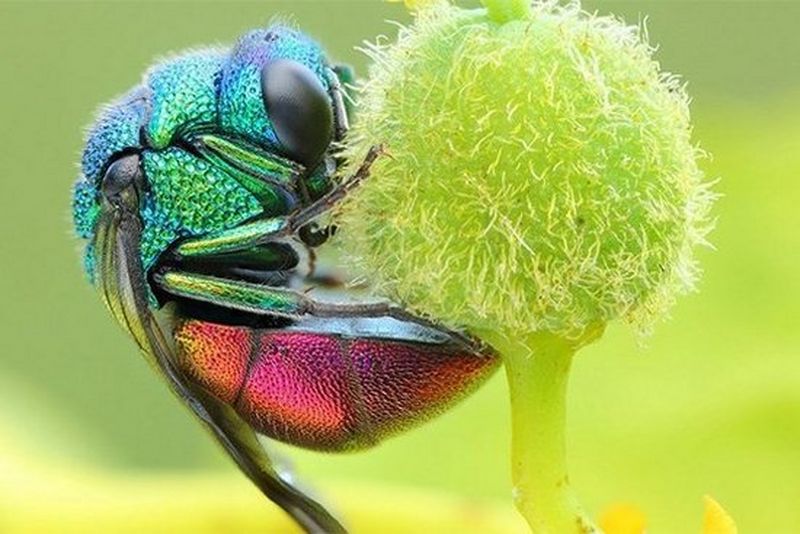 Sustainability-at-Canon