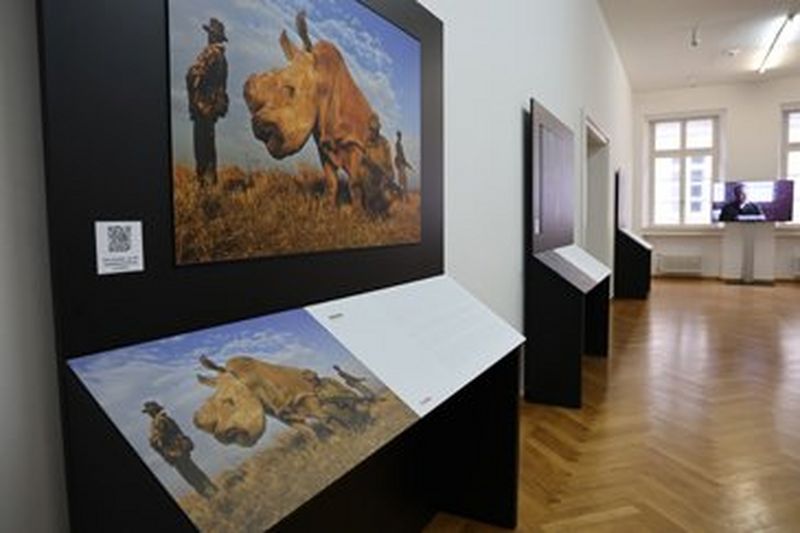 Fotoausstellung nicht nur für Sehende: Im Stadtmuseum Düsseldorf werden Bilder fühl- und hörbar