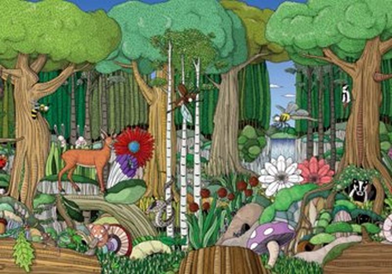 A colourful illustration of a forest, filled with animals, insects, birds, shrubs and mushrooms.