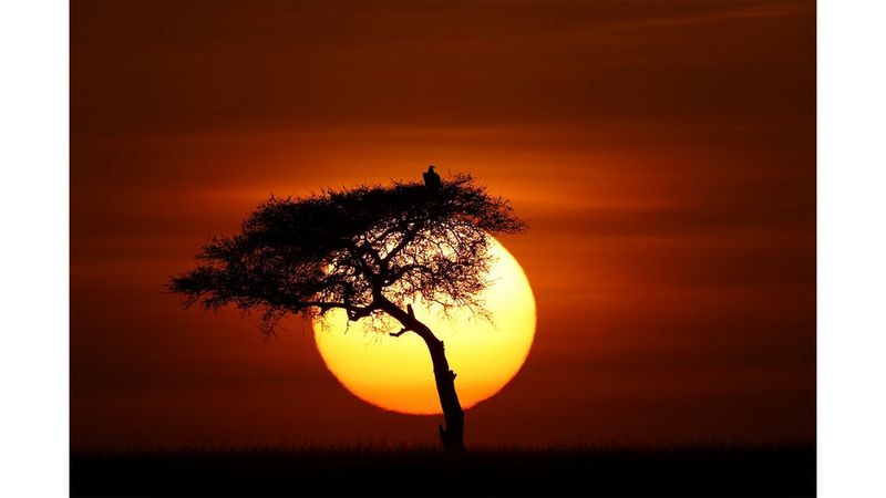 Canon unrivalled quality sensor