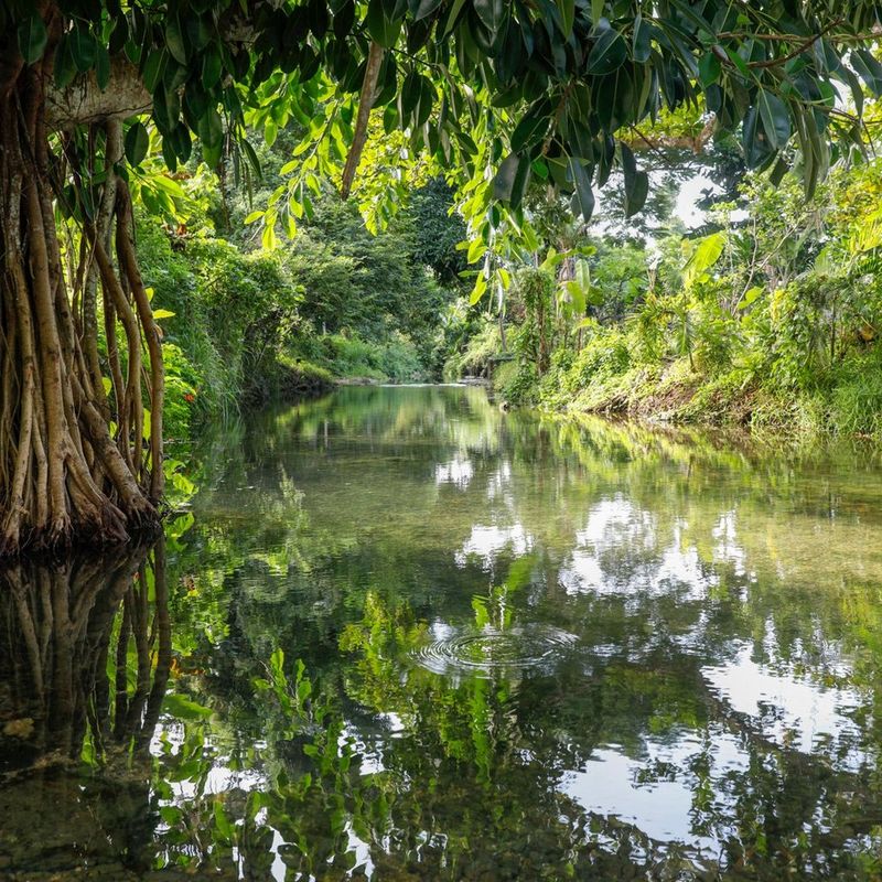 River scene taken with EOS 5D Mark IV