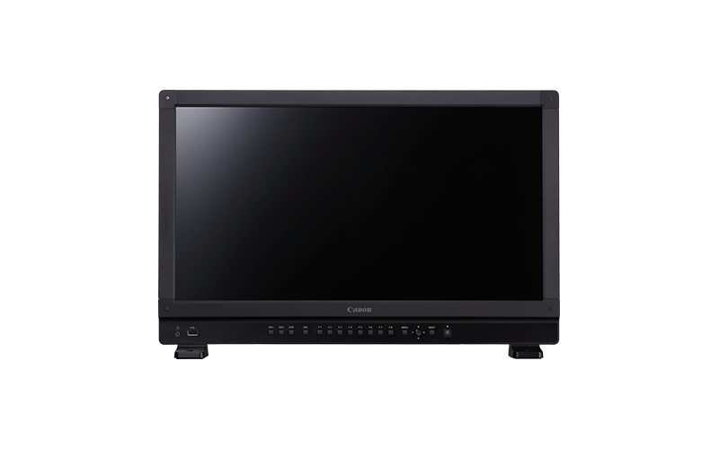 video display dp v2421