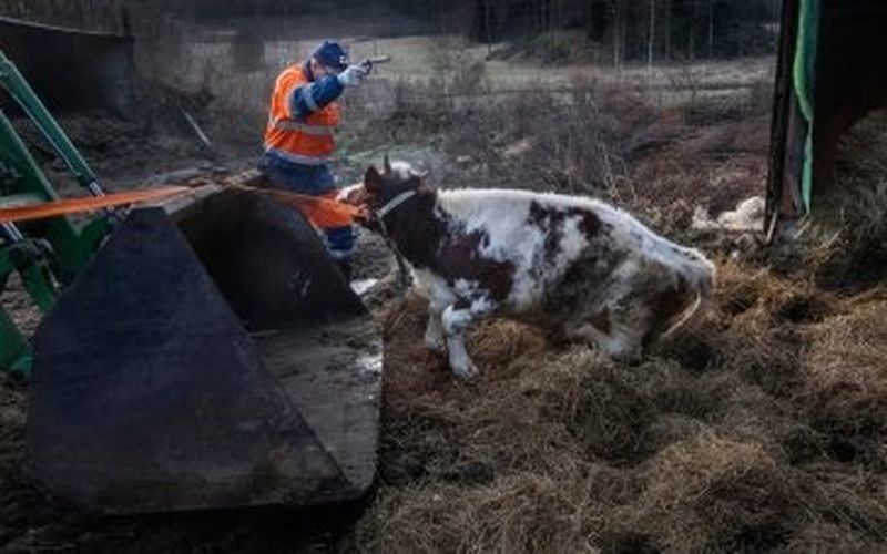 Vuoden parhaimmat lehtikuvat on valittu. Kuvajournalismi 2019 -kilpailu juhlistaa suomalaisten kuvaajien huippuosaamista!