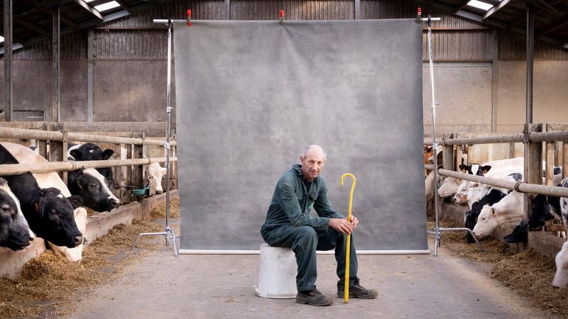 A man sits on an upturned bucket in front of a grey photographer’s backdrop. He holds a shepherd’s crook in his hands. On either side of the backdrop are over a dozen cows in the stall of a huge barn.