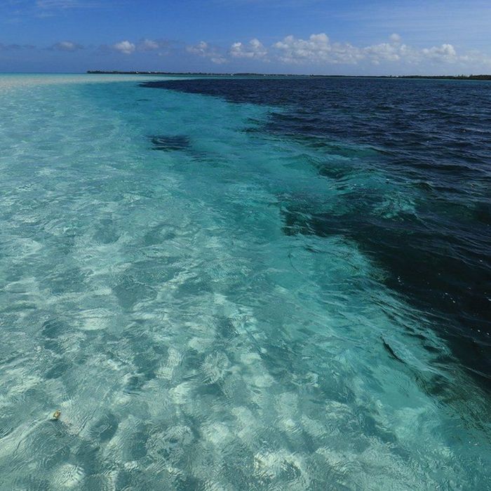 Which is the best EOS System for me?