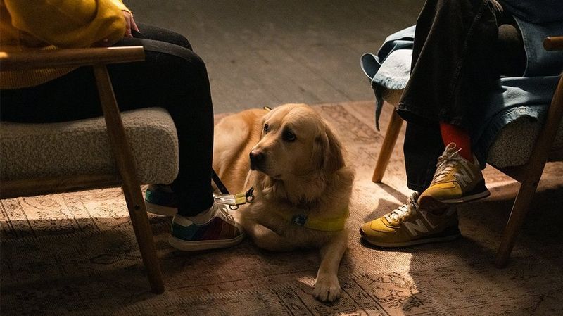 Lucy Edwards’ Guide Dog Miss Molly