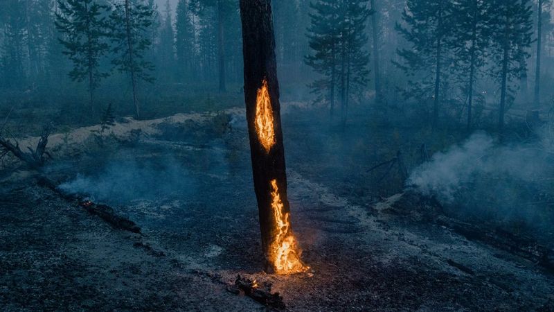 Fotografia "À medida que a terra congelada arde" de Nana Heitmann