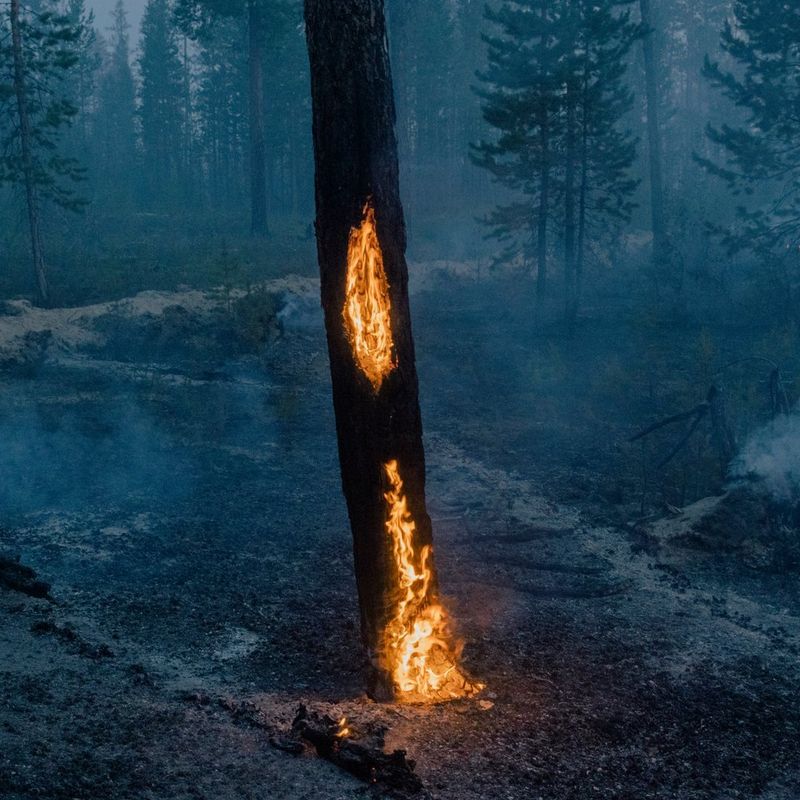 Photographie « As Frozen Land Burns » (Quand la terre gelée brûle) de Nana Heitmann