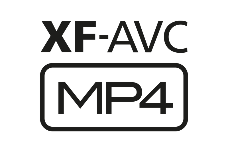 XF-AVC and MP4