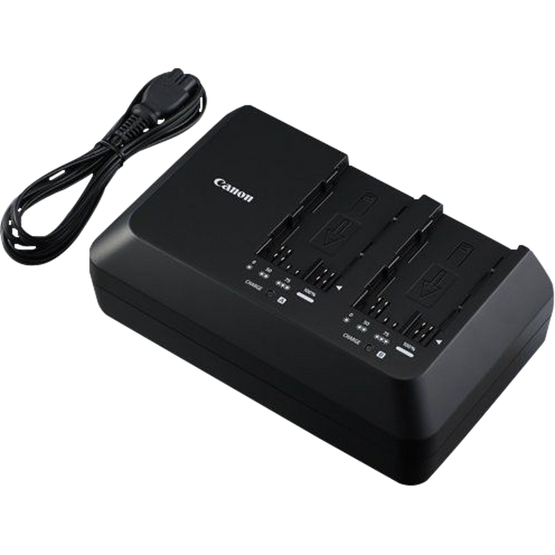 Chargeur de batterie CG-A10
