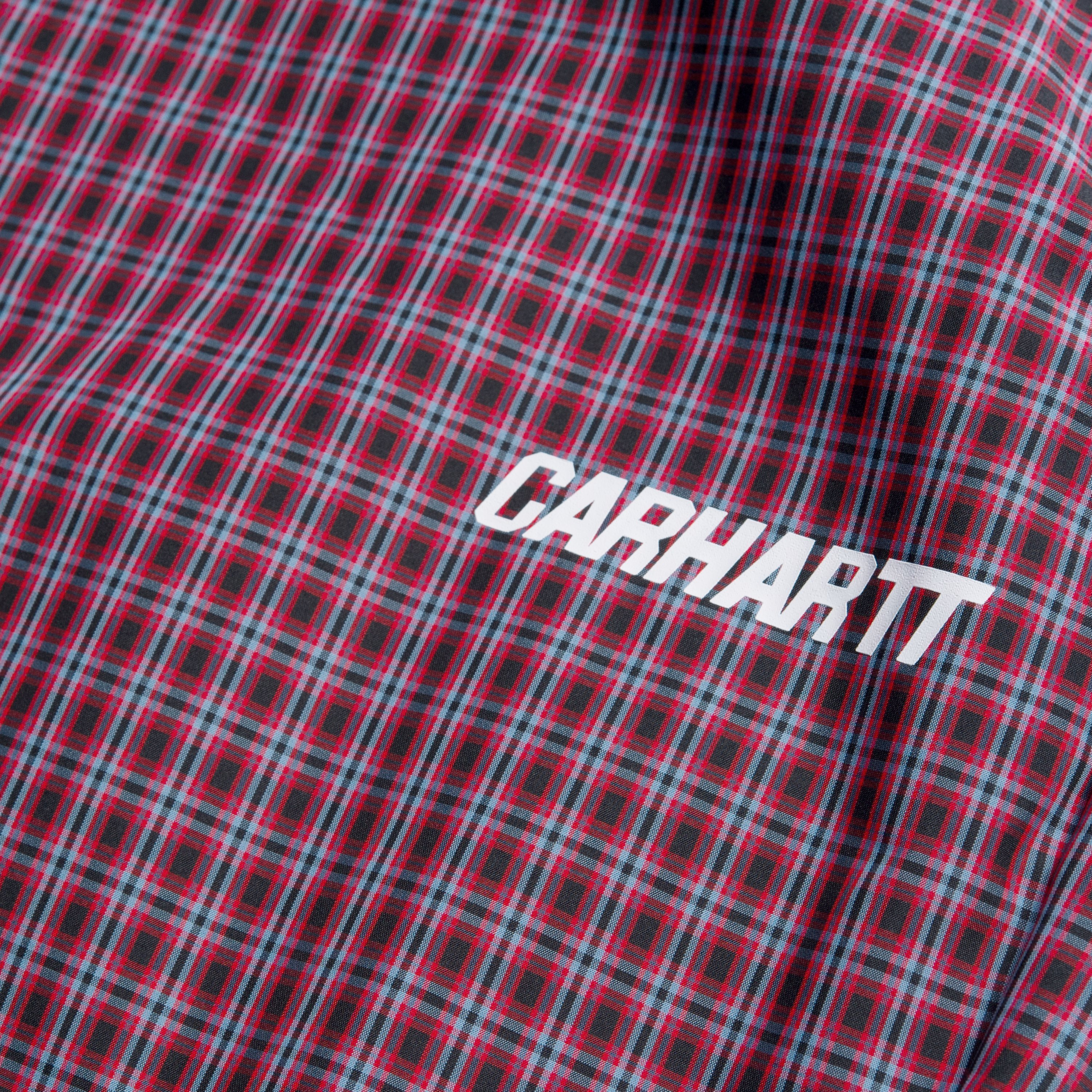 carhartt alistair pant