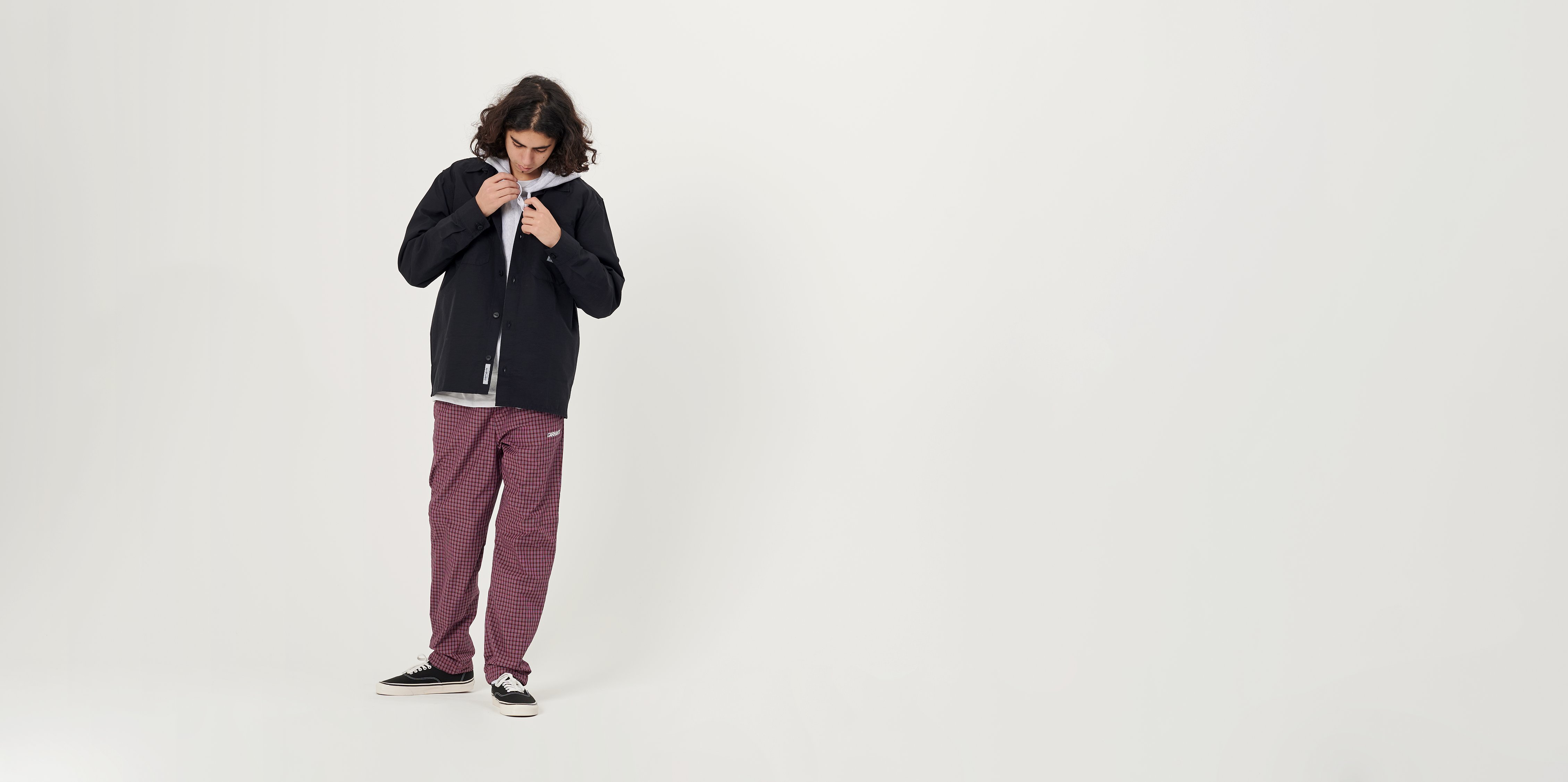 carhartt alistair pant