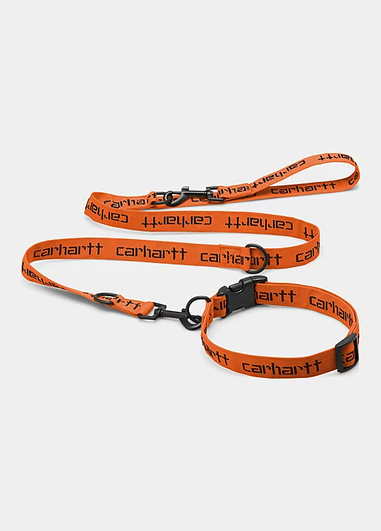 Carhartt WIP Script Dog Leash & Collar in Arancione