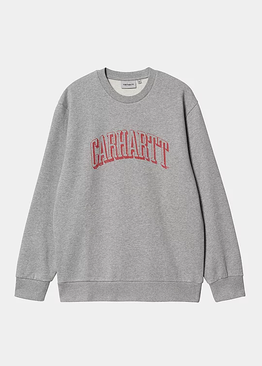Carhartt WIP Scrawl Sweatshirt in Grey