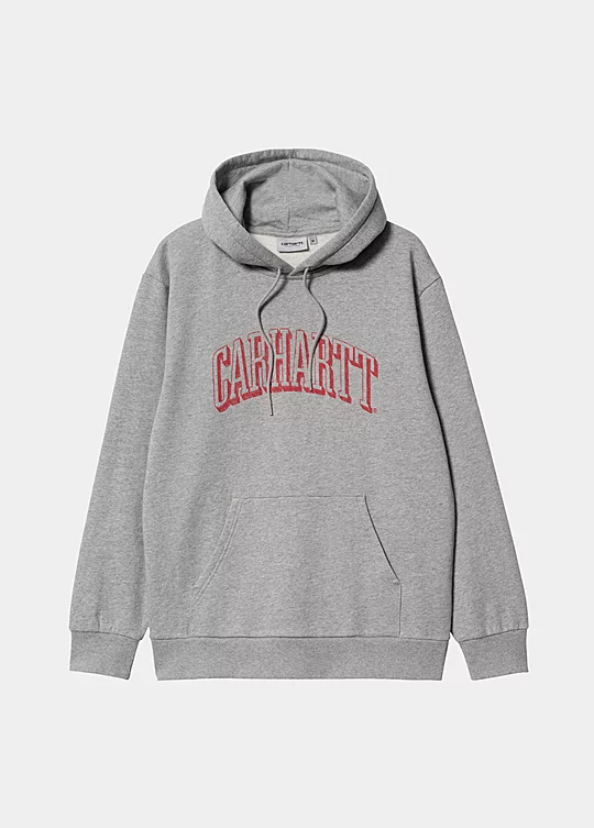 Carhartt WIP Hooded Scrawl Sweatshirt in Grey