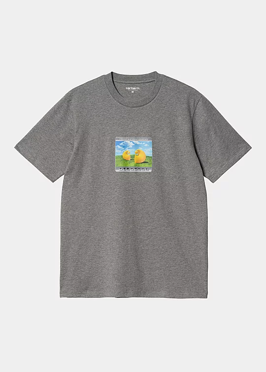 Carhartt WIP Short Sleeve Sound Experience T-Shirt in Grey