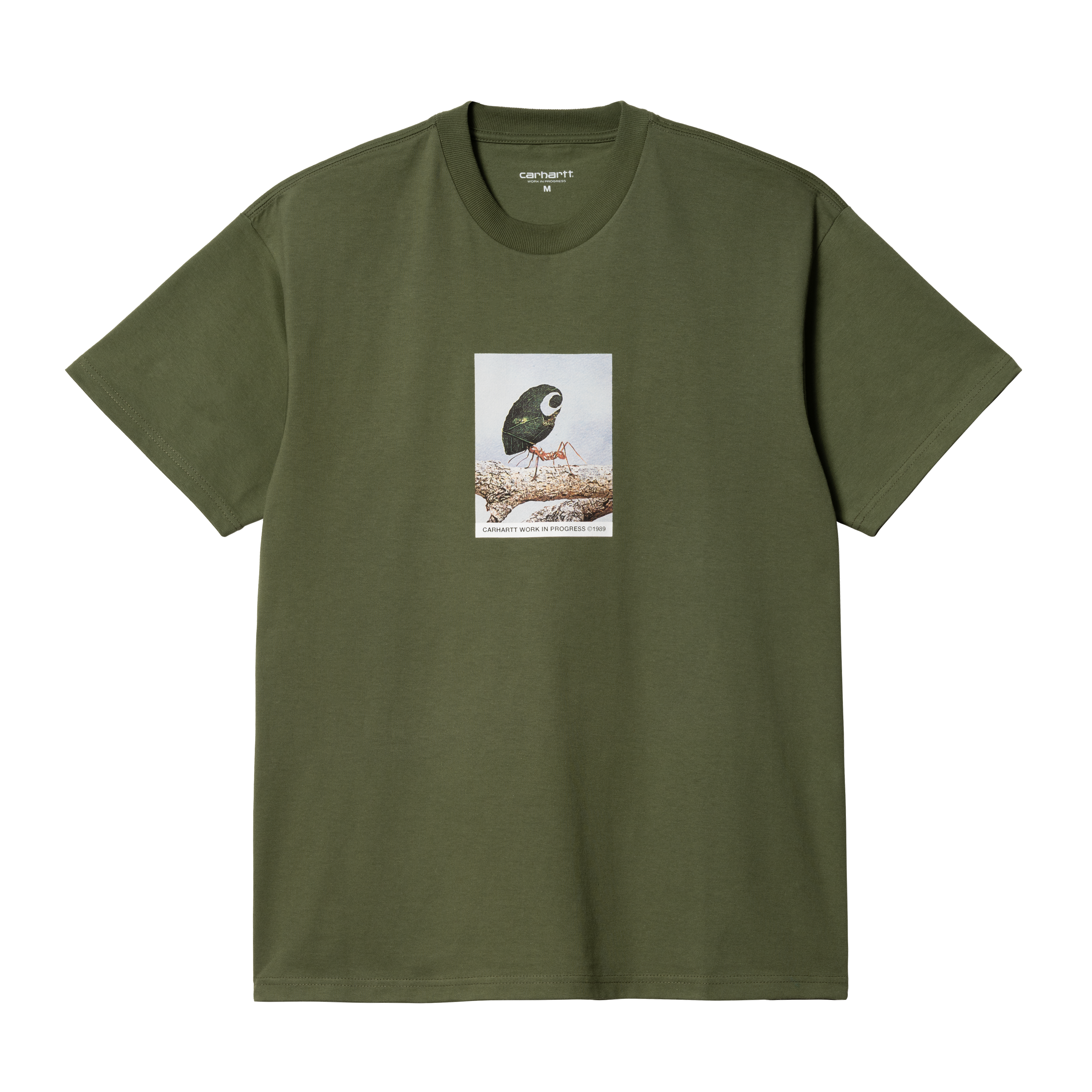 Carhartt WIP Short Sleeve Antleaf T-Shirt in Grün