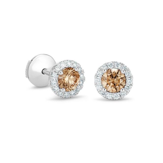 Aura stud earrings with fancy brown round brilliant diamonds in white gold