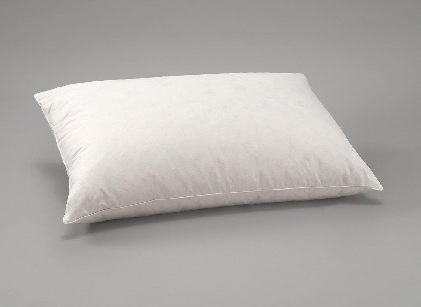 Envirosleep down outlet dreams pillows