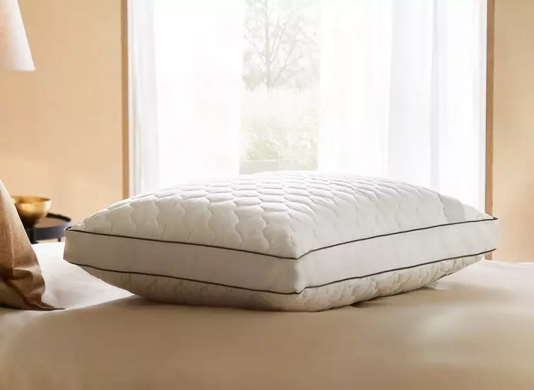 Sealy Side Sleeper Pillow Dreams
