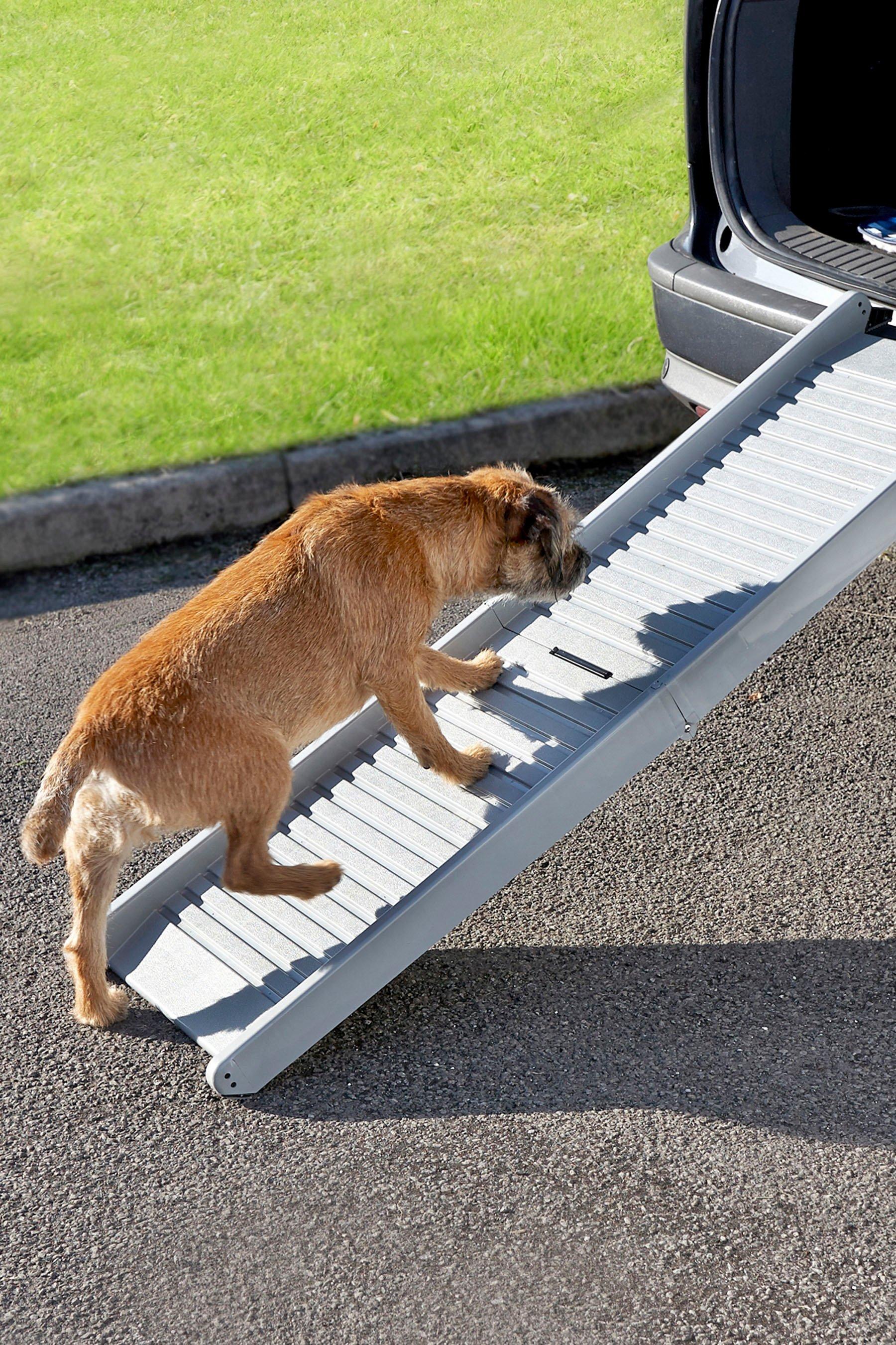 car dog ramp aldi