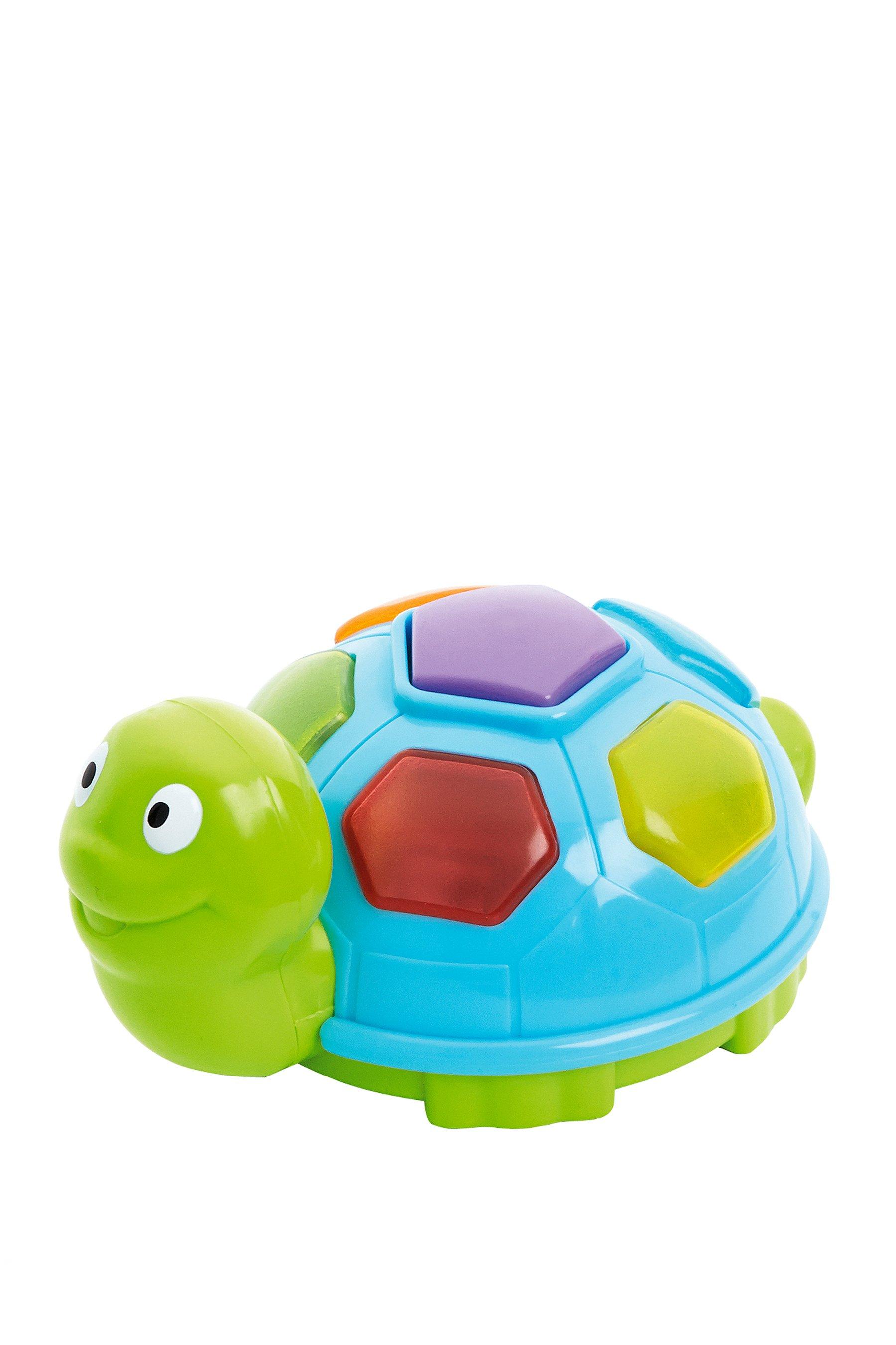 turtle toy time