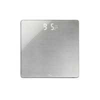 WW Hidden LED Polished Glass Scale
