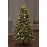 Image of Warm White LED TREEbright Lights